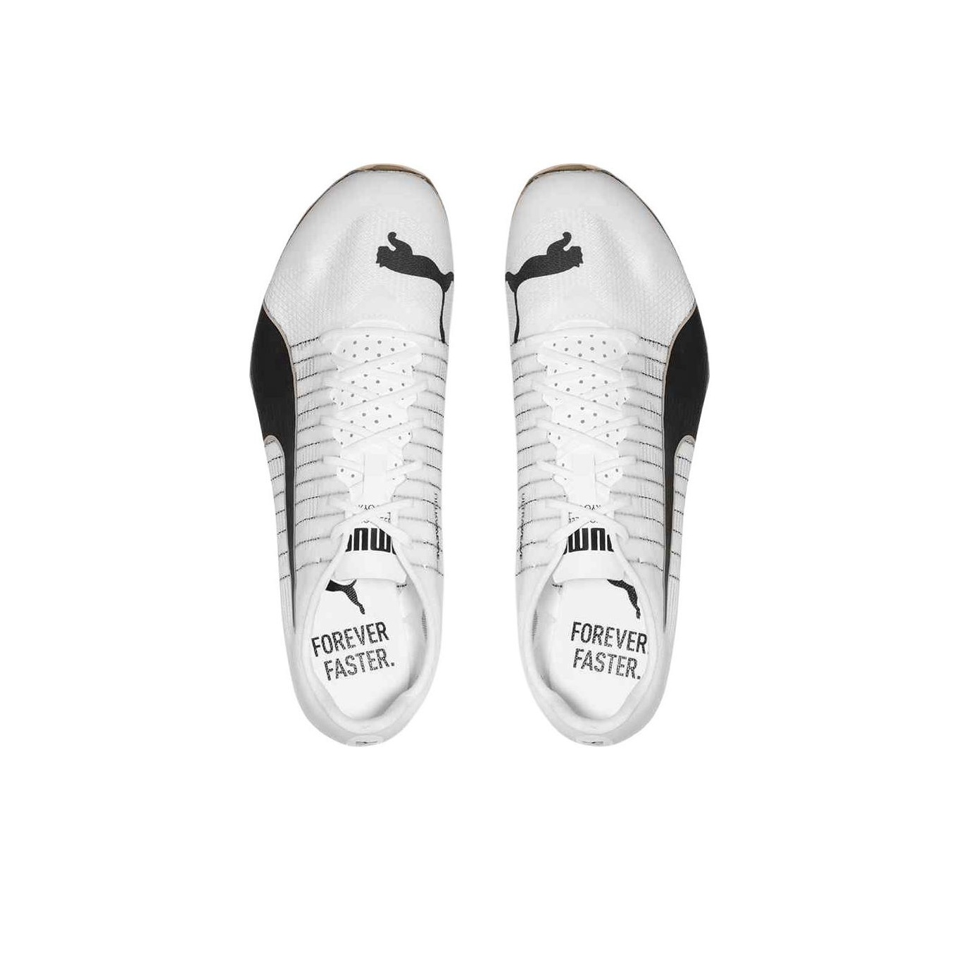 PUMA EvoSPEED 400 Nitro 2 Low  - đánh giá và giá Puma Shoes Rs-X